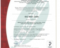 ISO 9001-2008-edited